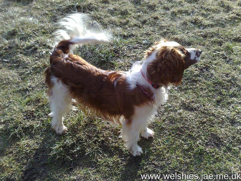 2010-02-20 01.jpg - Do you like my new harness?